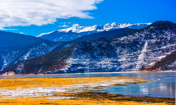 高原雪景