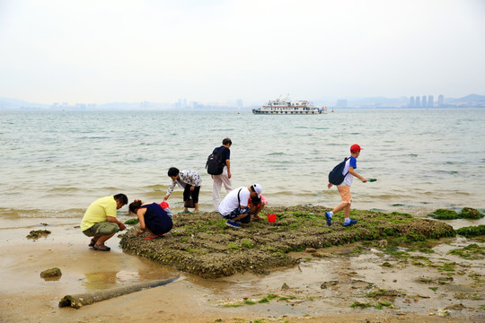 刘公岛赶海