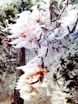 庐山雪景