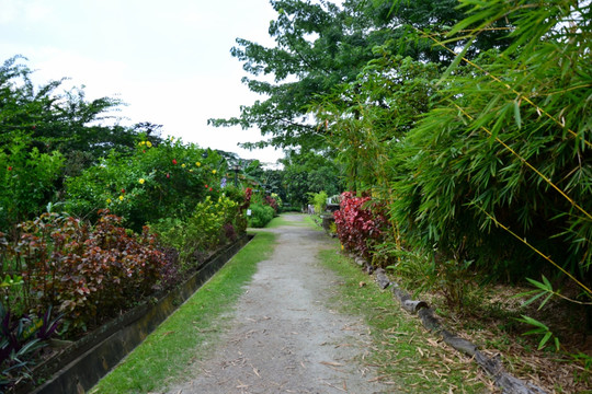 热带植物园