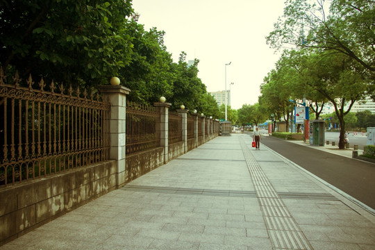 早晨的光 道路 街道