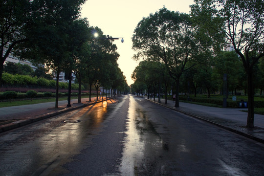 早晨的光 道路 街道