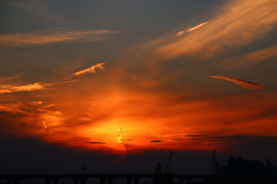 夕阳红
