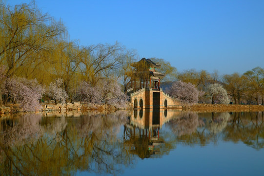 颐和园西堤春景