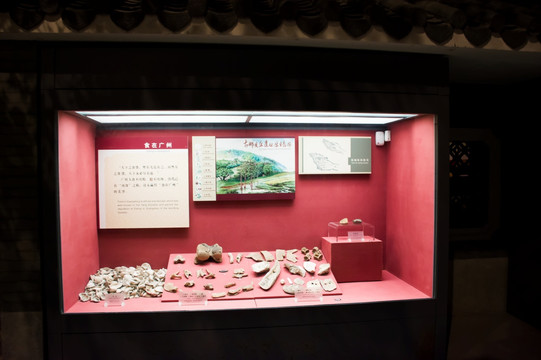 出土文物橱窗