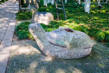 龟 石雕 石像