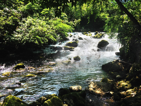 荔波茂兰国家级自然保护区