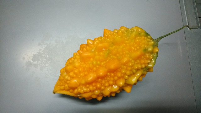 金铃子 赖葡萄