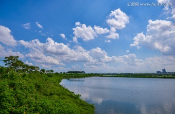 阳光池塘