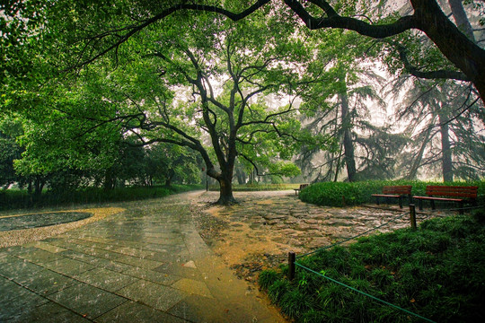 雨中西湖