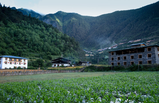 香格里拉 藏族民居