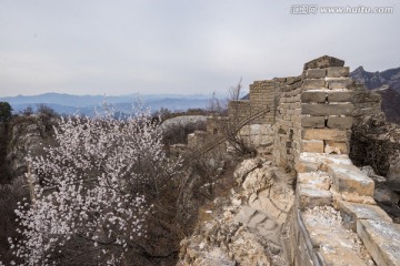 箭扣长城花季 城墙