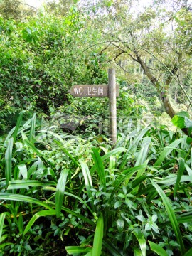 生态区厕所指示牌