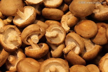 香菇 蘑菇