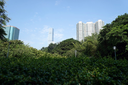香港风光