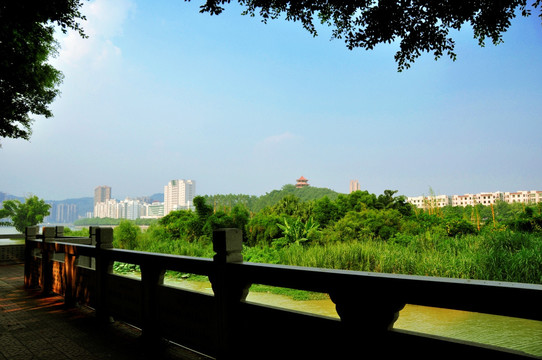 安溪河滨午后风景