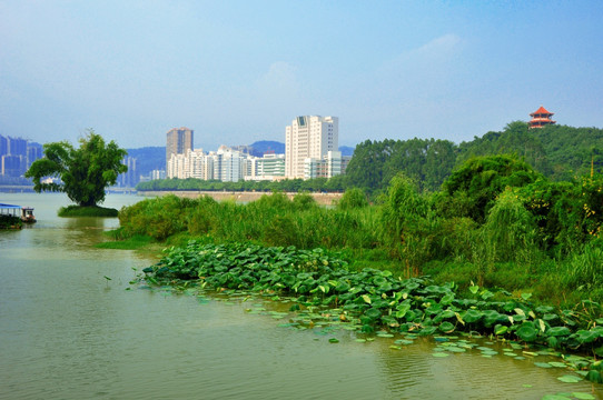 水边绿色和家园建筑