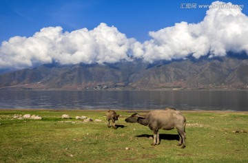 永胜程海湖