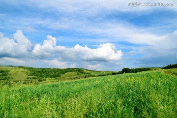 草原风光