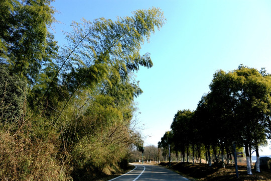 平天湖风光