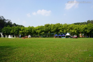 足球场绿化风景