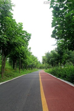 森林城市 道路