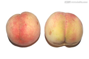 桃子