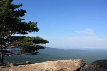 远山近树