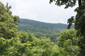 远山近树