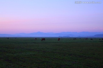草原之晨