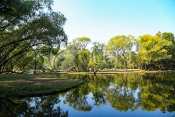 森林公园 湿地