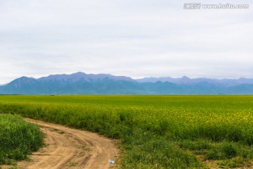 张掖山丹田野