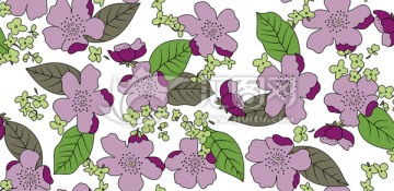印花 背景 花型 花卉 紫色花
