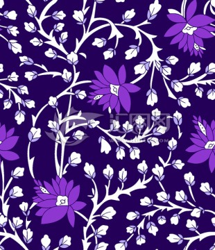 印花 背景 碎花 花卉 紫色花