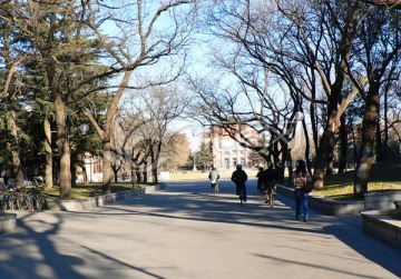 清华大学校园景色