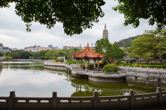 园林景观 池塘 凉亭