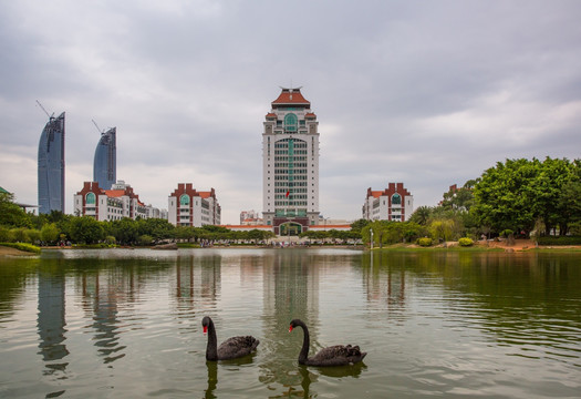 厦门大学风光 厦门大学芙蓉湖