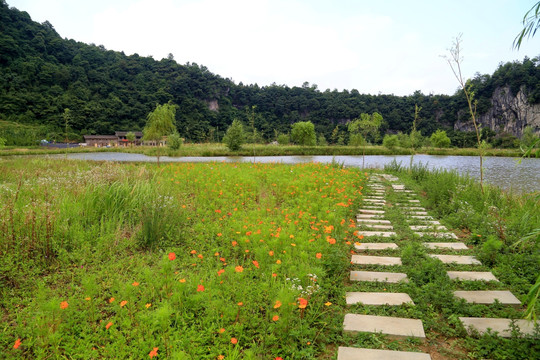 高原湿地