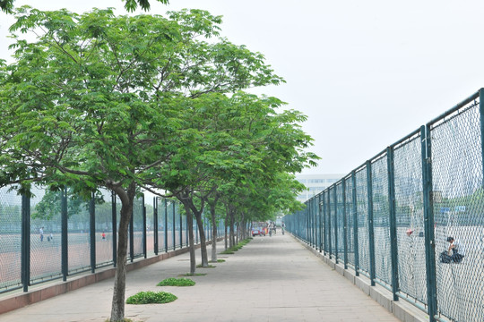 学校操场围栏