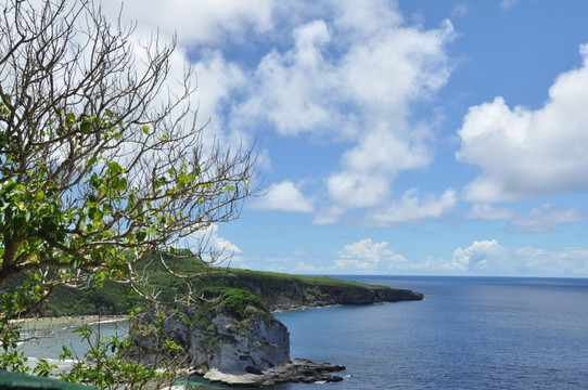 海水 海岸 美国塞班 蓝天 鸟