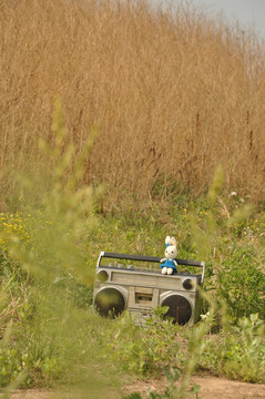 草地里的老式录音机和玩具兔子