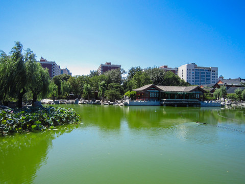 北京大观园