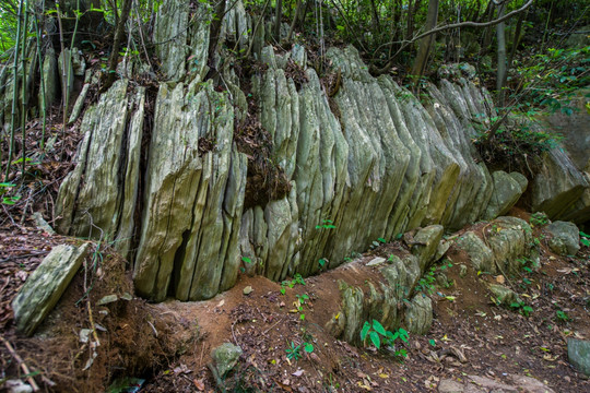 南漳县香水河景区