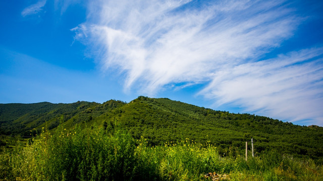 草原天路