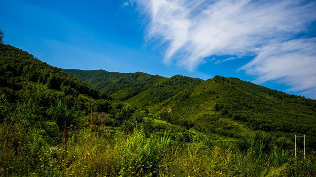 草原天路