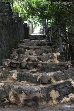 古道 山路