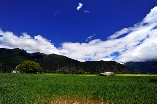 西藏雅鲁藏布大峡谷