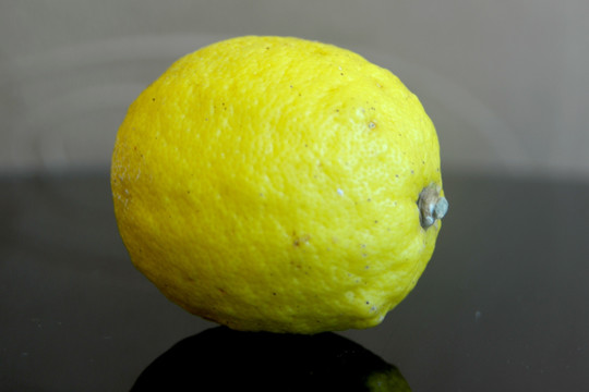 柠檬静物素材