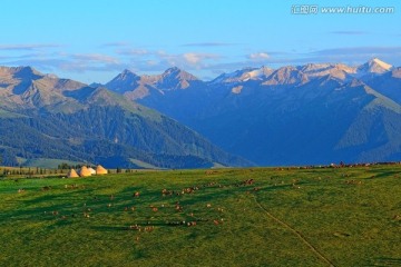 喀拉峻草原 高清