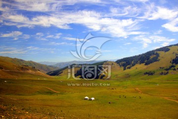 贾登峪森林草原牧场